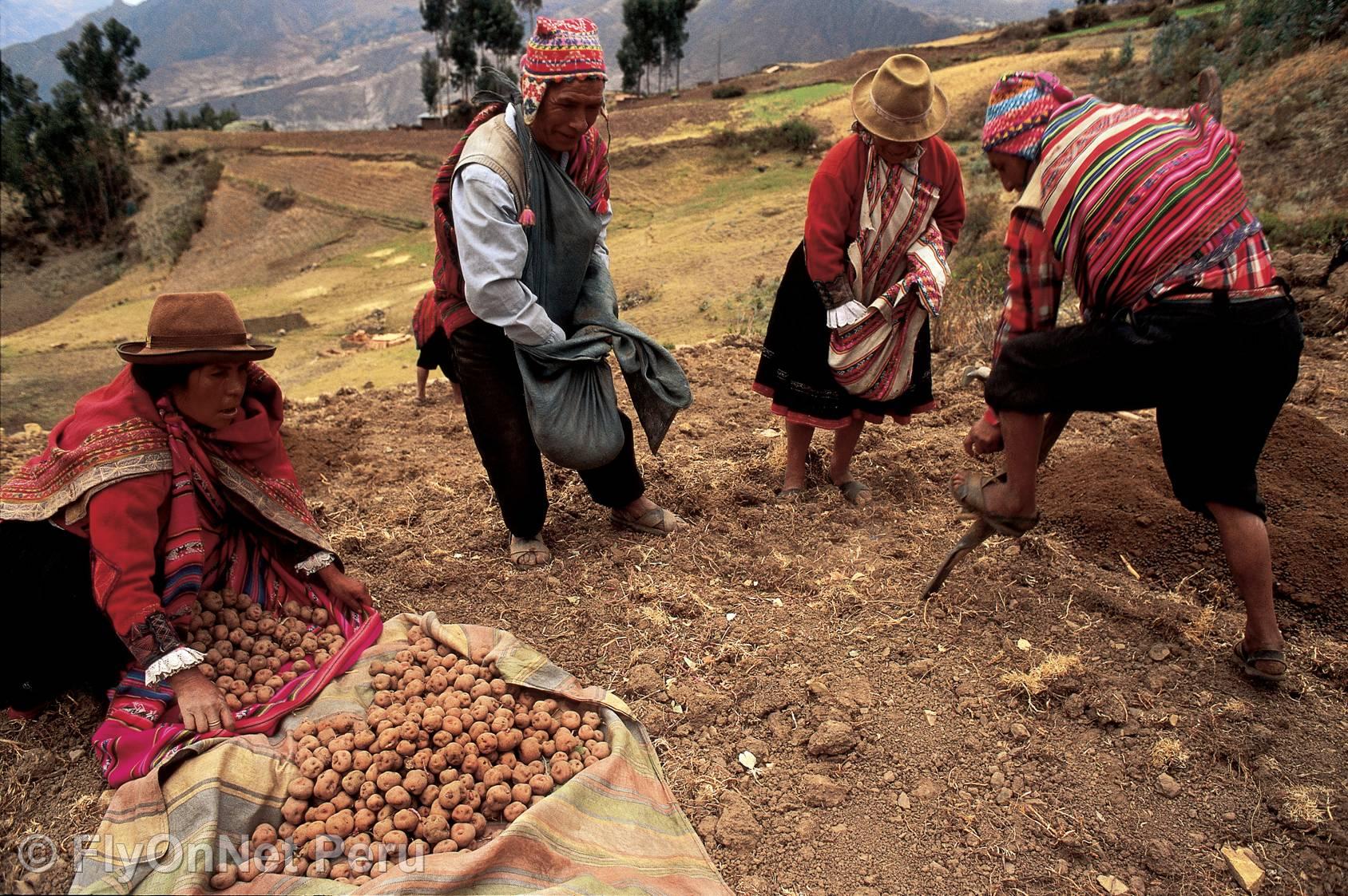 Fotóalbum: Cuzco